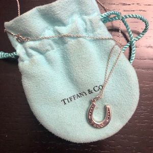 Tiffany & Co Horseshoe Necklace
